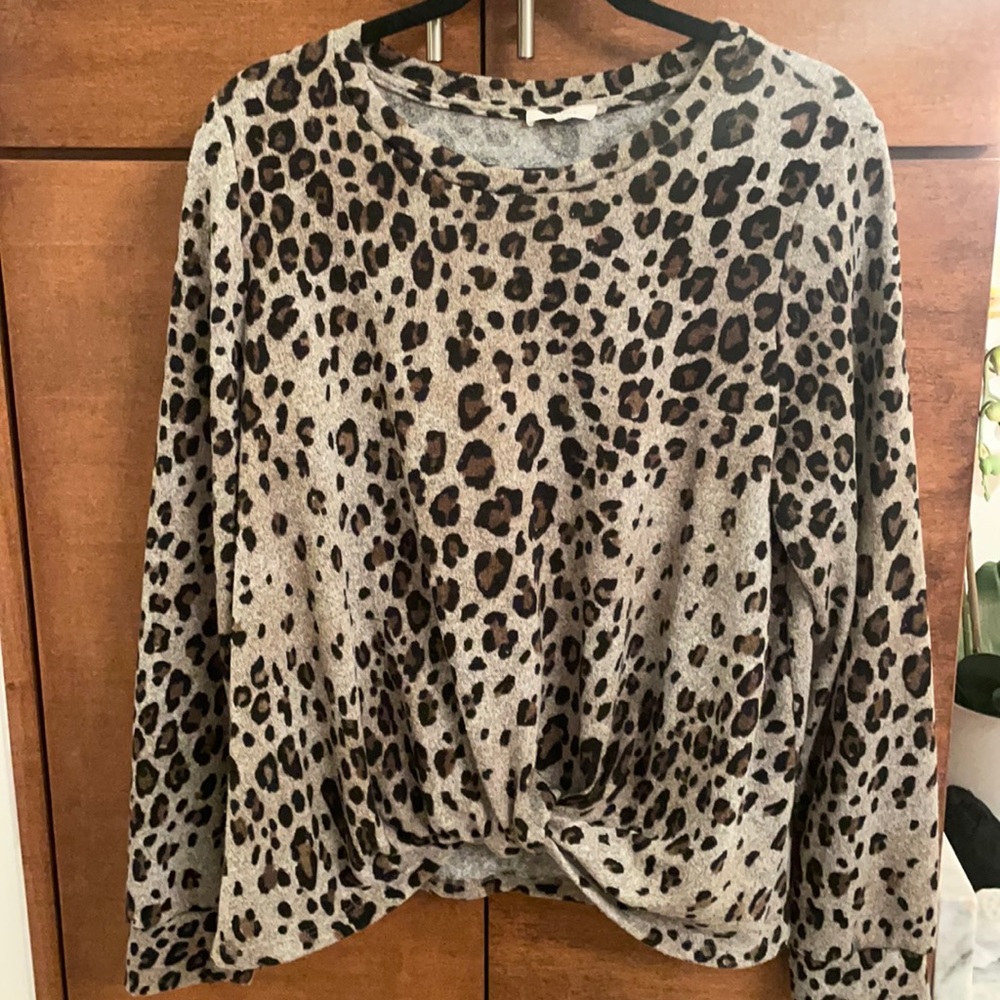 Pleione top from anthropology